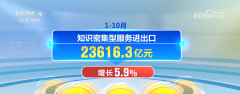 前10月中国办事商业继续快速增加 旅行办事成为
